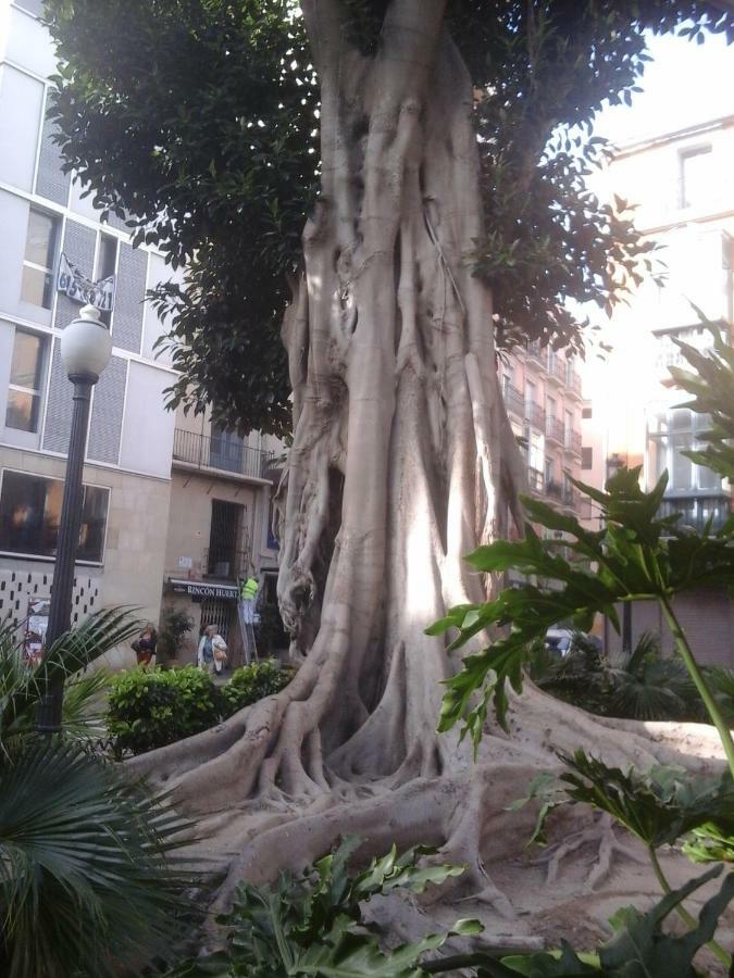 Chez Berna - Se Alquila Habitacion Denia Dış mekan fotoğraf