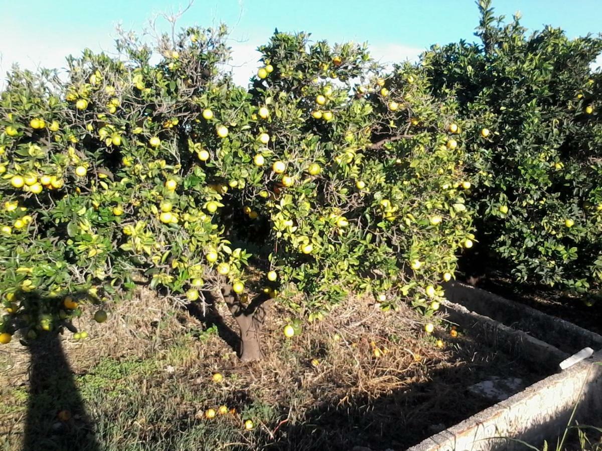 Chez Berna - Se Alquila Habitacion Denia Dış mekan fotoğraf
