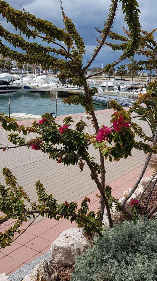 Chez Berna - Se Alquila Habitacion Denia Dış mekan fotoğraf