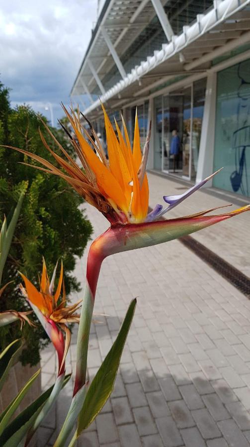 Chez Berna - Se Alquila Habitacion Denia Dış mekan fotoğraf